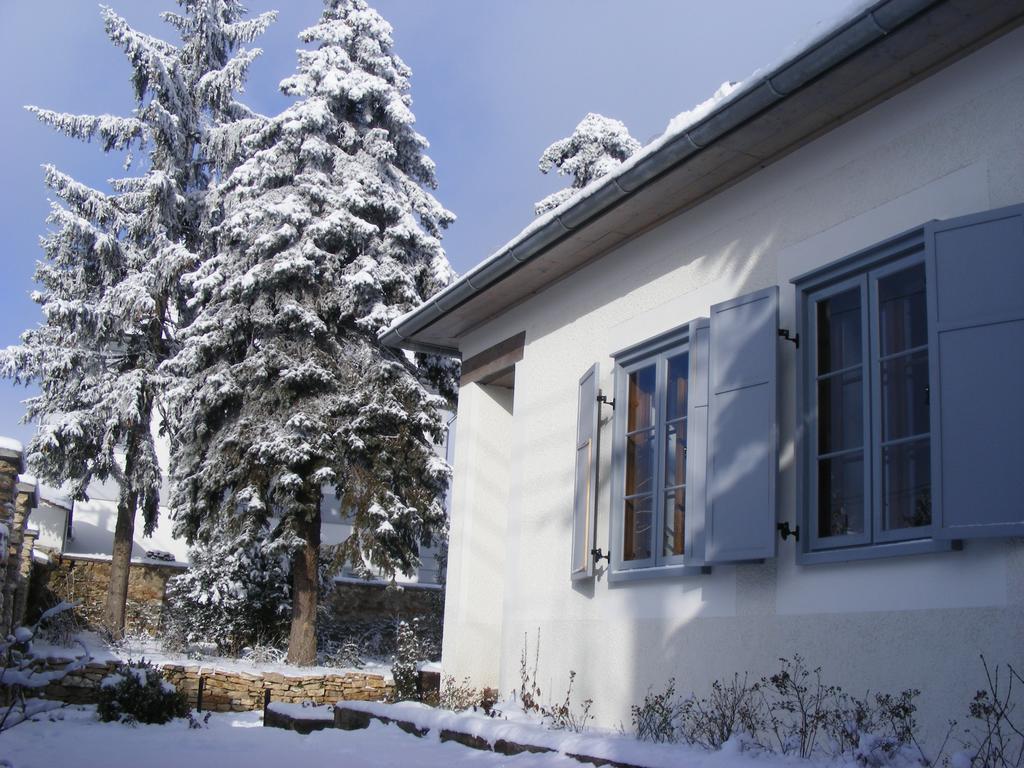 Bagolyvar Fogado- Ujfalusy Marton Vendeghaz Zirc Bagian luar foto