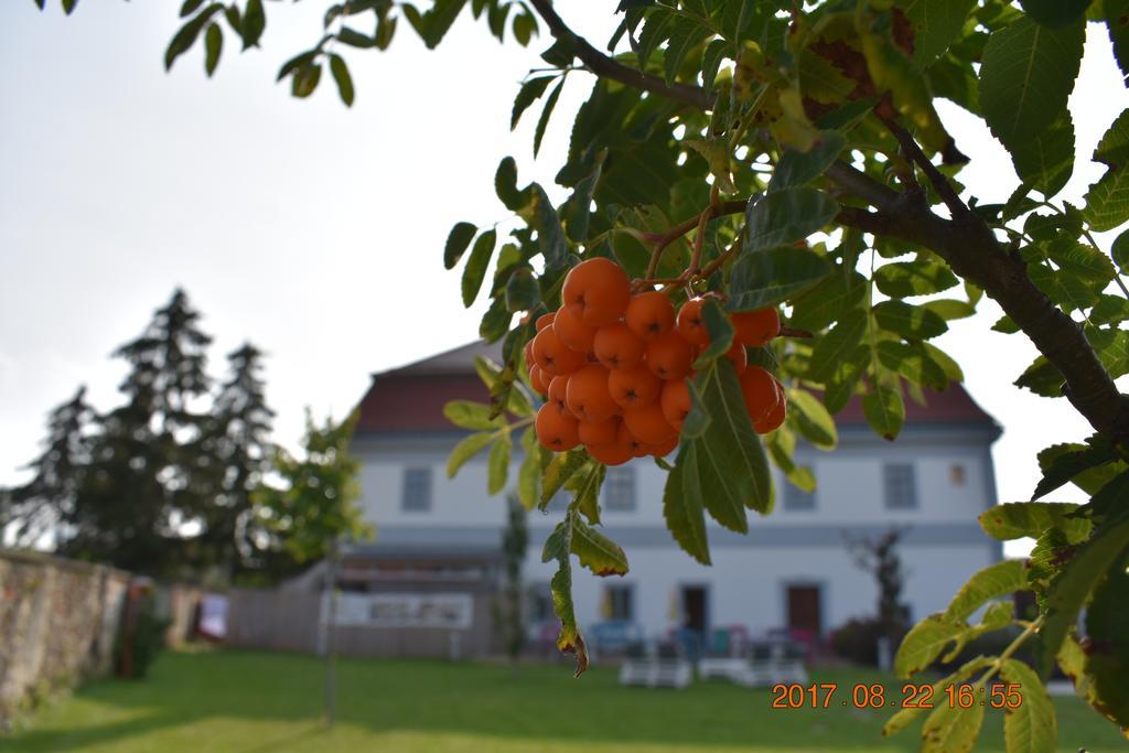 Bagolyvar Fogado- Ujfalusy Marton Vendeghaz Zirc Bagian luar foto