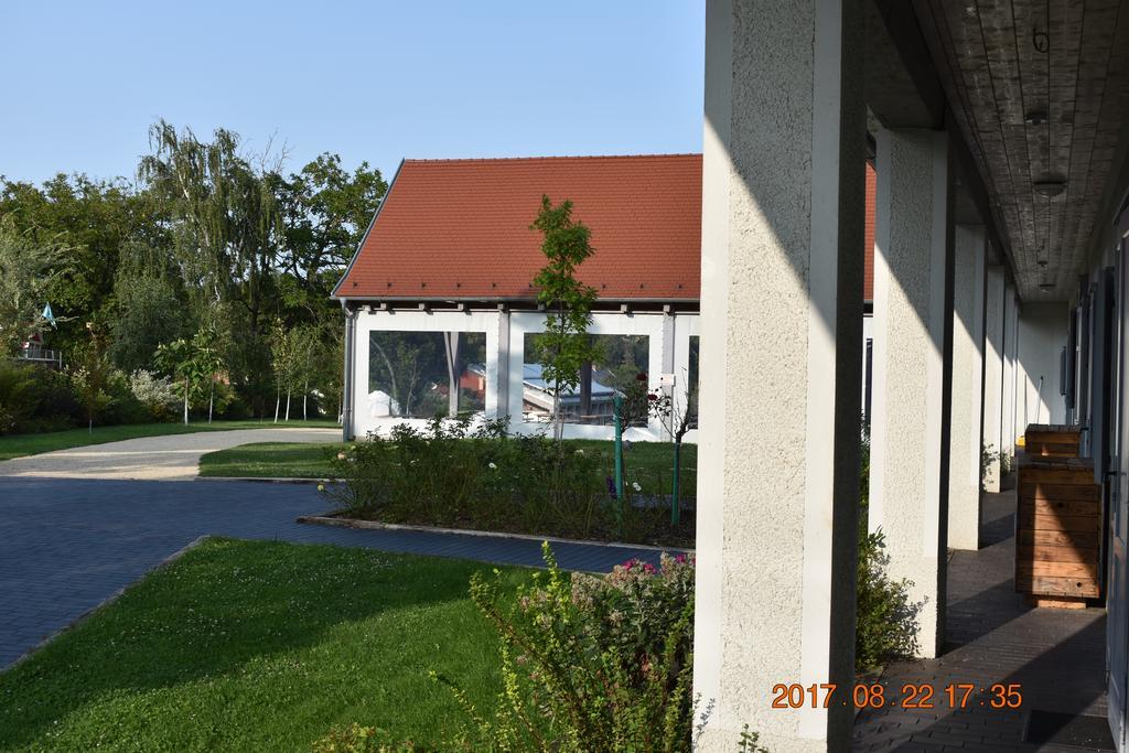 Bagolyvar Fogado- Ujfalusy Marton Vendeghaz Zirc Bagian luar foto
